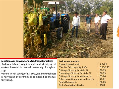 Tractor Front Mounted Three Row Sorghum Harvester