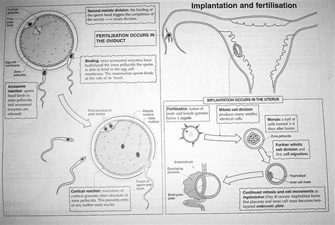 Image result for Reproduction Science