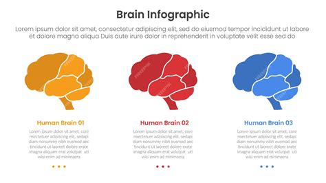 Premium Vector | Human brain infographic template banner with human ...