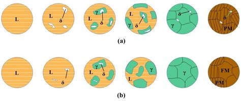 Improving the Microstructure and Mechanical Properties of Laser-Welded ...