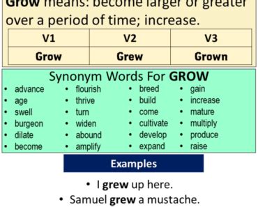 Bring Past Simple, Simple Past Tense of Bring Past Participle, V1 V2 V3 ...