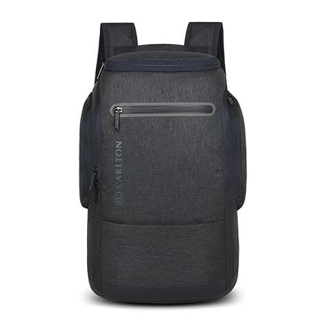 Buy CARLTON Laptop Backpack 26L With Rain cover, Organizer, Air Cushion ...