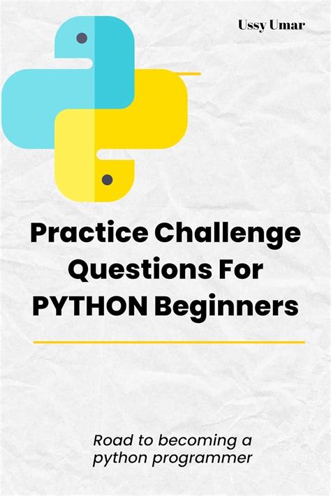 Beginner Python Challenge 的图像结果