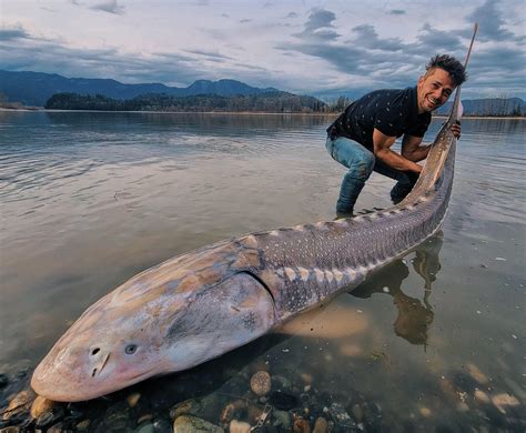 Biggest Fish In The World Ever Caught On Tape