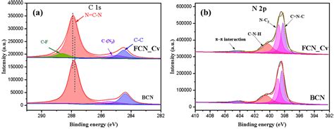 Synthesis, Characterization, and Roles of Vacancy Defects in Polymer ...