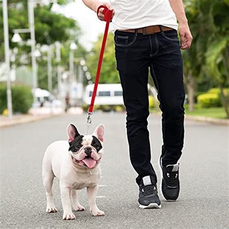 Buy Downtown Pet Supply - Long Dog Leash - Dog Training Leash - Recall ...