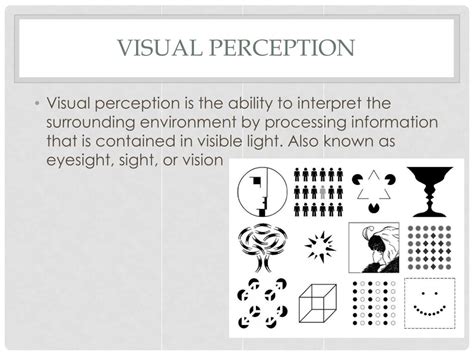 Image result for Visual Perception Examples