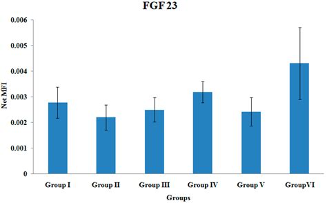 The Effects of Targeted Deliveries of Lovastatin and Tocotrienol on ...