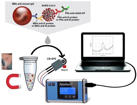 Carbon Nanomaterials-Based Screen-Printed Electrodes for Sensing ...
