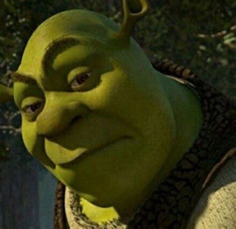 Shrek lip bites 😖😫🥵 | Shrek, Lip biting, Sculpture