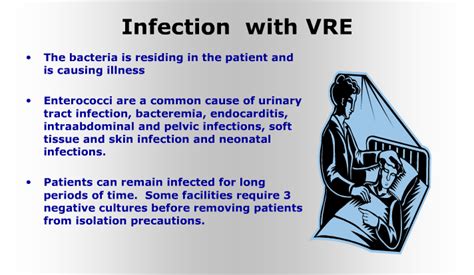 Image result for VRE Program