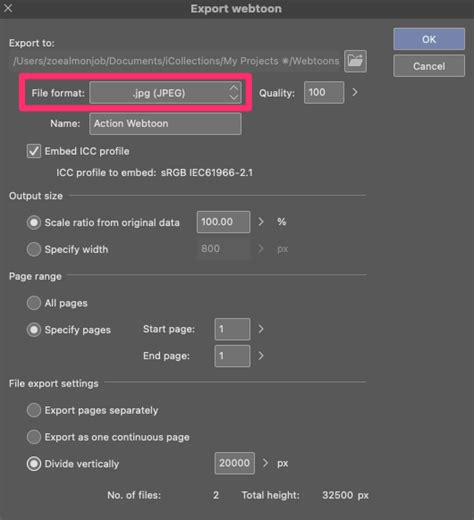 Image result for Clip Studio Paint Comic Tutorial