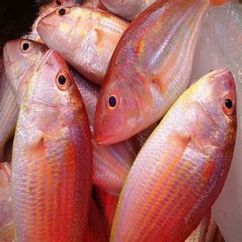 Rani fish/Pink Perch (1kg) - Doof Meat, India