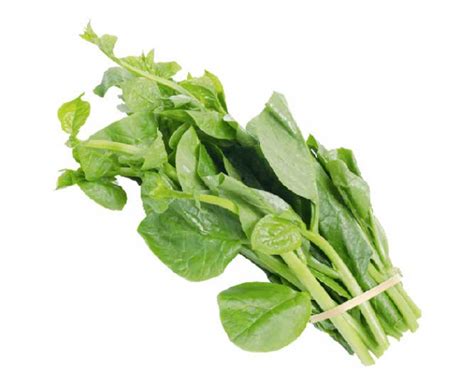 Organic Puishak, Malabar Spinach