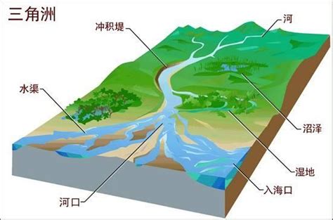 水流模型概化 > 9. 地下水动态特征 > 9.1 地下水流动状态描述