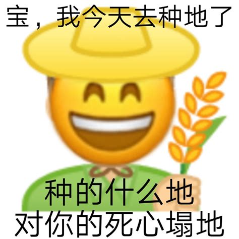 王思聪舔狗金句合集土味又油腻，卑微求爱语录被起名“聪油体”_一宁