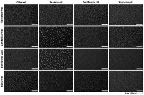 Structural and Physical Characteristics of Mixed-Component Oleogels ...