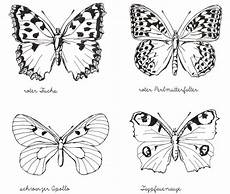 ausmalbild schmetterling tagpfauenauge illustration schmetterlinge gezeichnet schmetterling ausmalbild schmetterling tagpfauenauge illustration schmetterlinge gezeichnet schmetterling