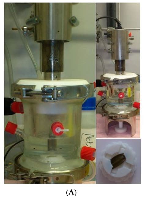 Modification of Olive Leaves’ Surface by Ultrasound Cavitation ...