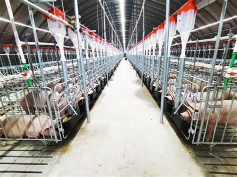 猪场养殖设备 - 山东益生种畜禽股份有限公司