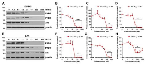 Protein Kinase D3 (PKD3) Requires Hsp90 for Stability and Promotion of ...