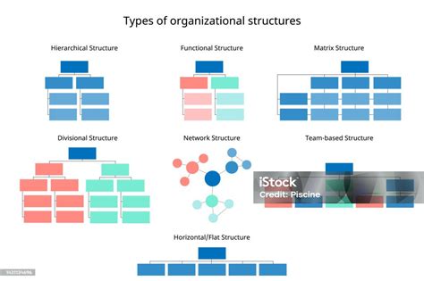 Organization. Examples 的图像结果