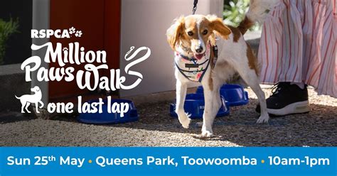 Million Paws Walk Toowoomba ?, Queens Park, Toowoomba, 25 May 2025 ...