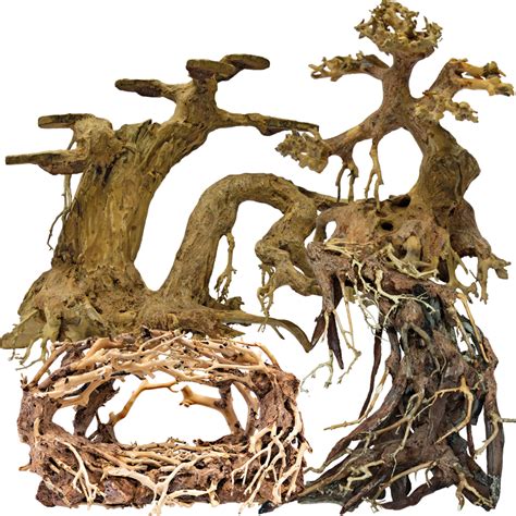 How to Test Wood for Aquariums 的图像结果