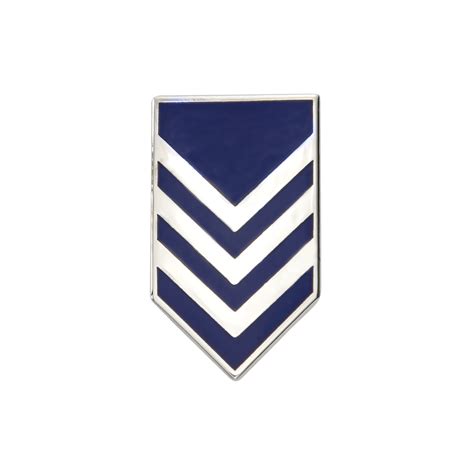 Image result for USAF Colonel Rank