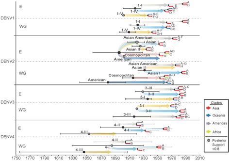Global Evolutionary History and Dynamics of Dengue Viruses Inferred ...