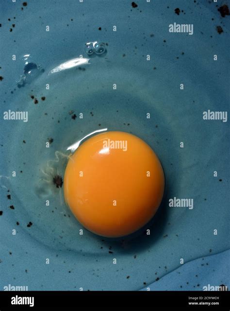 Blue egg yolk hi-res stock photography and images - Alamy