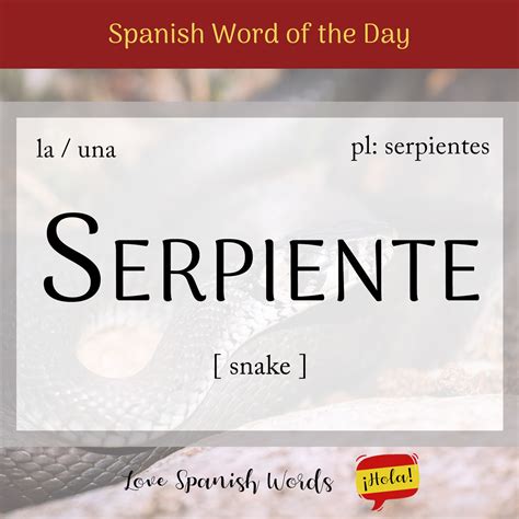 Spanish Word of the Day: Serpiente (snake) - Love Spanish Words