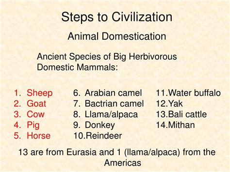 Image result for Steps of Civilization