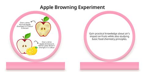 Fun & Easy Science Experiments for Class 3 Kids