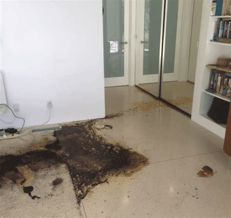 Image result for Decomp Process