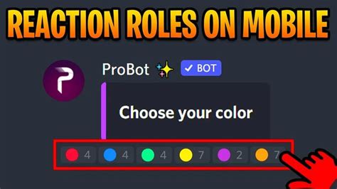 Image result for How to Use Pro Bot