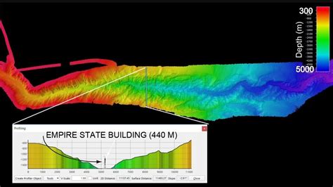Petition · Support the Designation of Hudson Canyon National Marine ...