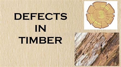 Image result for Defects in Timber