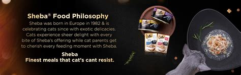 Dry Food | Sheba IN