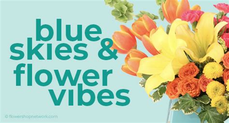 Flower Shop Network 的图像结果