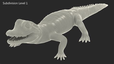 3D Baby Crocodile Light Color | 3D Molier International