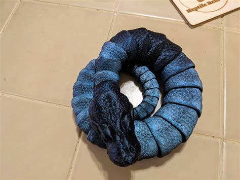 Image result for Snake Articulated Python