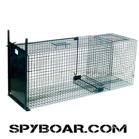 Duke Traps Heavy Duty Cage at Maddison Joyce blog