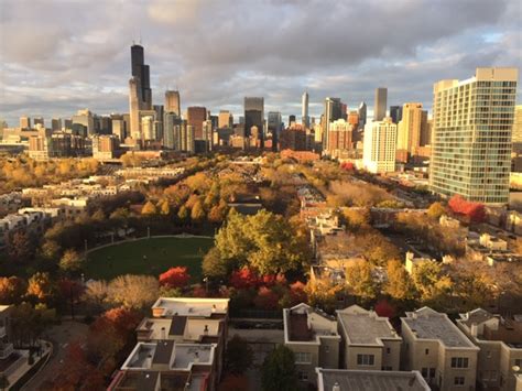 Image result for Introduction to View