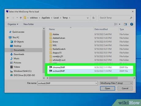 Image result for How to Read Win Dump Files
