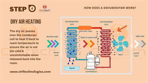 How a Dehumidifier Works? - A 5 Step Master Guide.