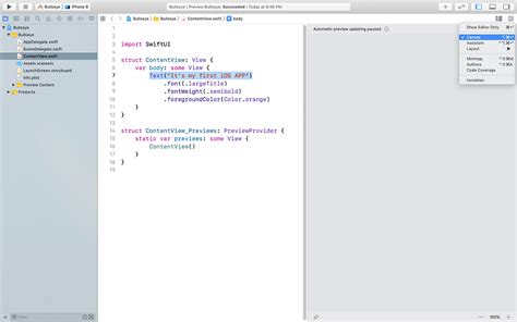 iOS App Tutorial Swift 的图像结果