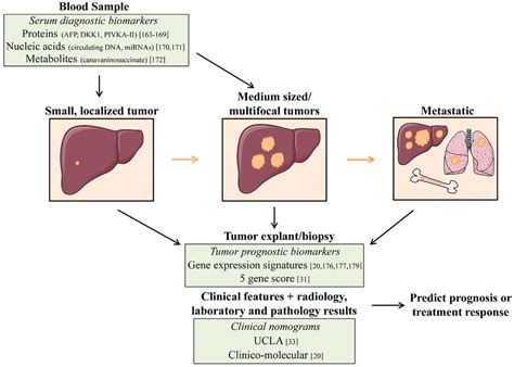 Diseases | Special Issue : Targeted Therapy of Hepatocellular Carcinoma ...