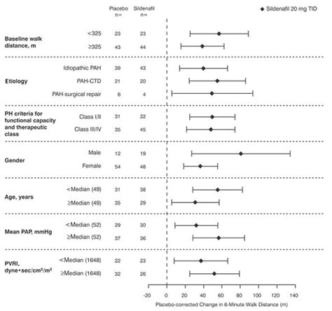 Revatio Injection 的图像结果
