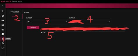 Poo13 Code 的图像结果